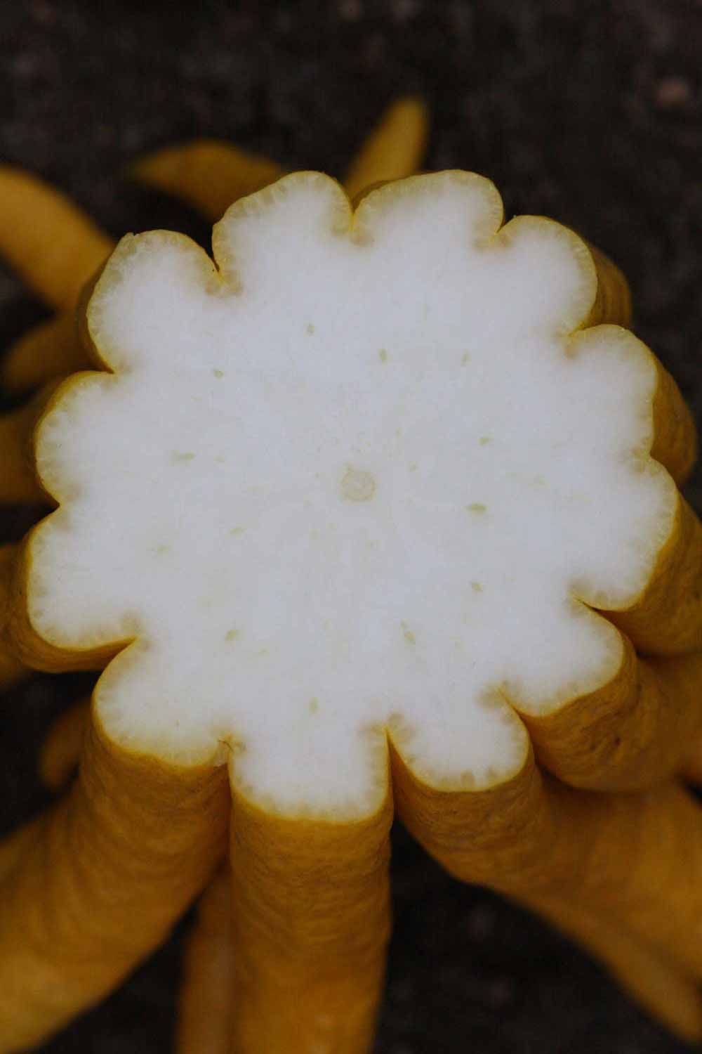 Fruit cross-section (Riverside, CA)   